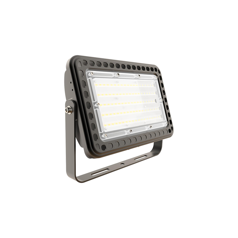 100W LED Flood Light 