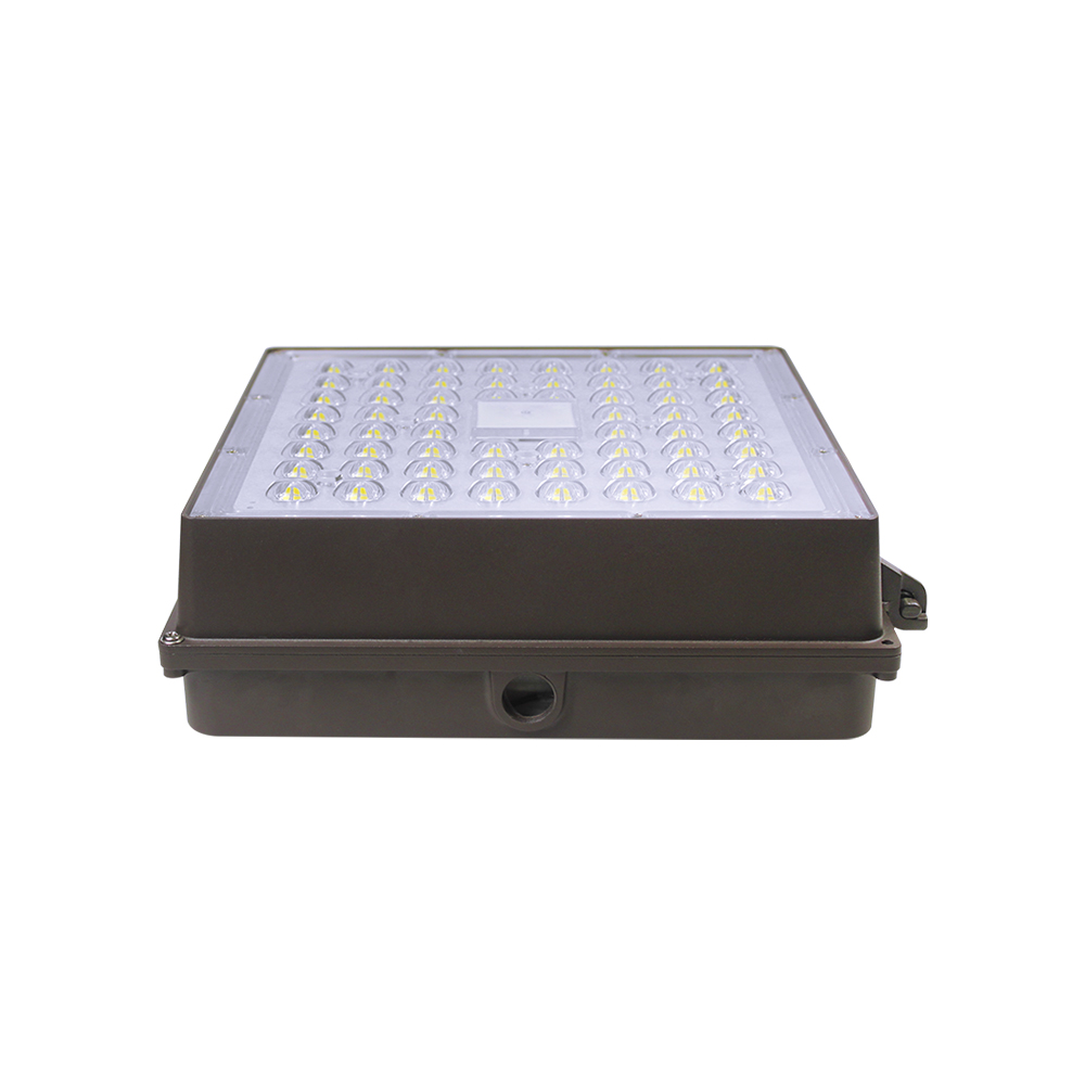 80W LED Canopy Light 